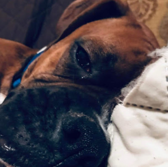 Meet your Posher, Randolph - Picture 1 of 1